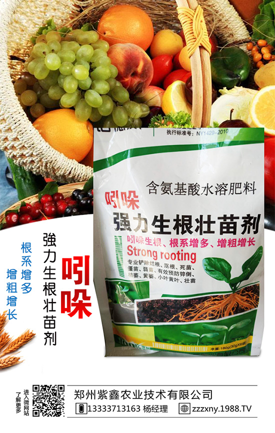 ��֥��Nֲ�r(sh��)�g��ʲô�r(sh��)�������֥��Nֲ�������g(sh��)��