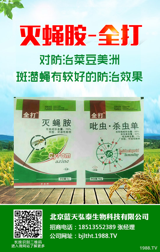 ��(ji��)���Ƕ��φ᣿��(ji��)����ηNֲ���������@Щ������æ�