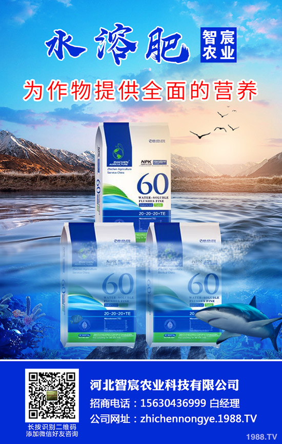 ���ӽ�����ʲôԭ����ɵ������ӽ�����η��Σ�