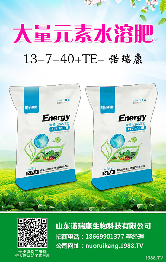 2020�����r(ji��)��������ô����ٍ�X(qi��n)�����Nֲ��e��(hu��)����ô��