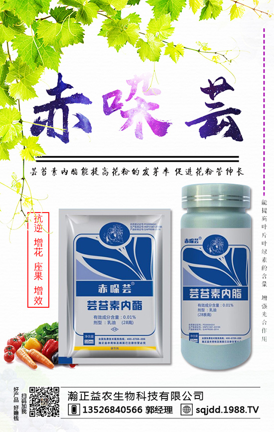 ���t����ʲô����������t��������ķ��η���