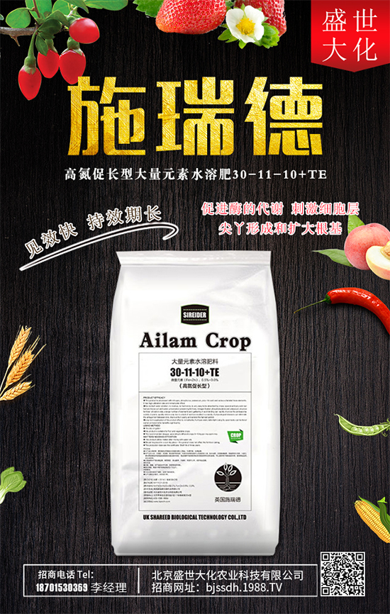 ʯ����ʲô�I(y��ng)�B(y��ng)�r(ji��)ֵ��ʯ������Щʳ�ù�Ч��