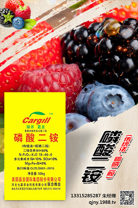 С����ʲô����(ji��)���N������Щ�Nֲ������