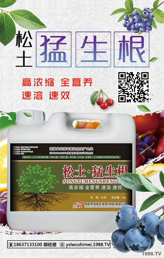 ��������Щ��Ч�����ã����ӵ�ʳ�ý�����