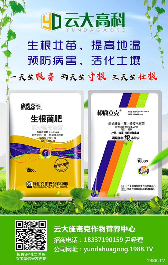 ��������ֲ��Ƥ�Ɇ�����Ƥ�ɶ�����ֲ����