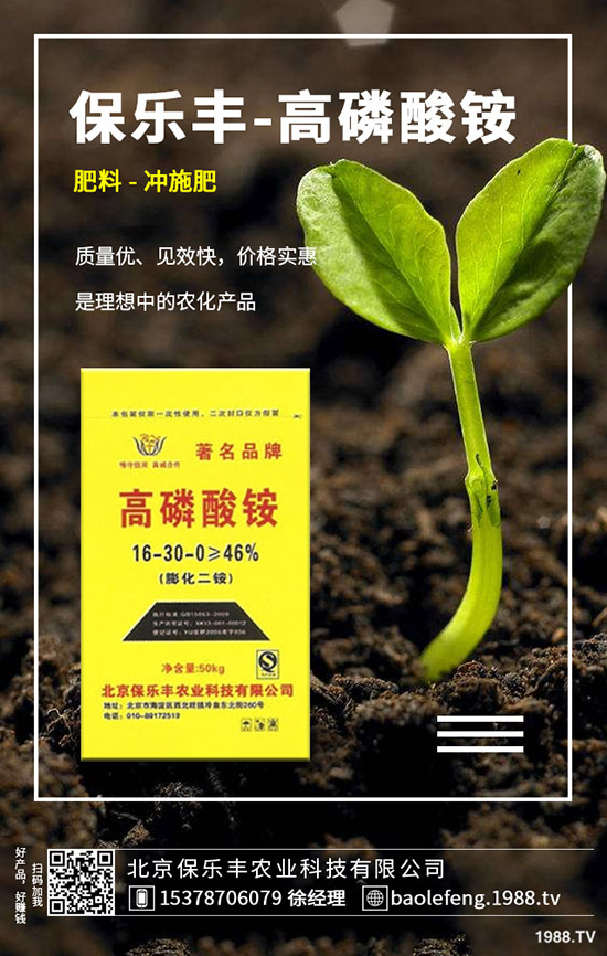 ����(n��i)���@�r����ϝq����2019.11.29���ո������@���S��r��