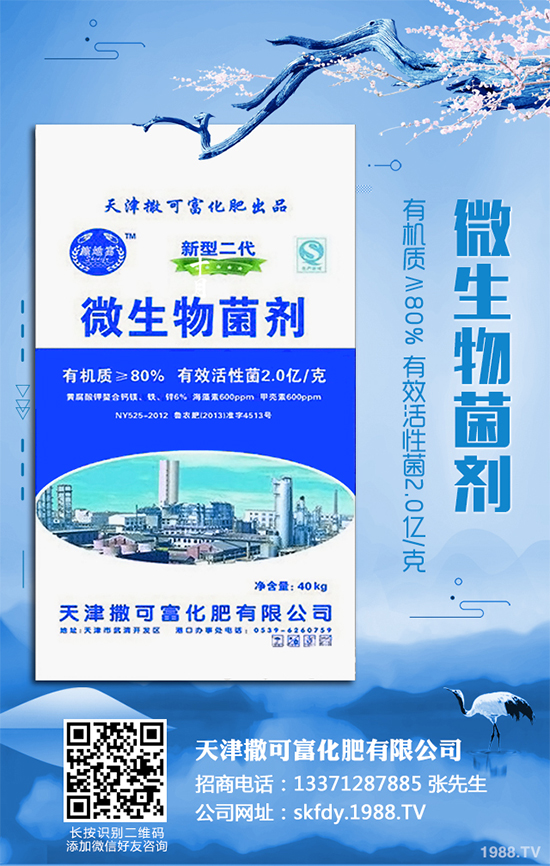 ��Ƥ�����Ժ���S��զ���£�ԓ��ô��Q�����(l��i)������