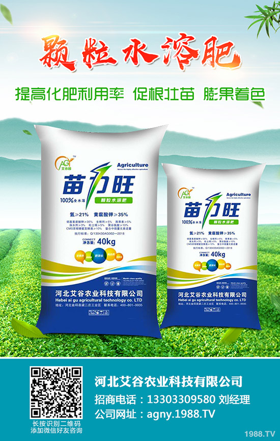 2019-11-30�������¶��@�r���Ո���������@��I(y��)���S�����rһ�[��