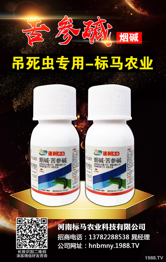 �������x��Σ���Y��l(f��)���l������������Щ���η�����