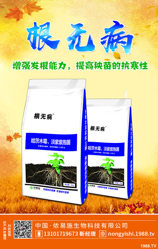     ���@����(ch��)�Ј�(ch��ng)����������������@�������S��(b��o)�r(ji��)һ�[2019-11-4