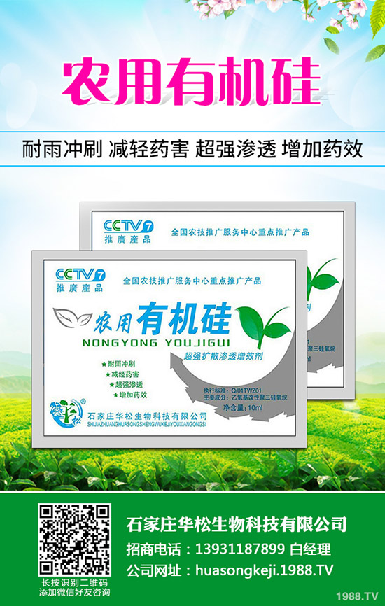 �ʲݵķNֲ��������Щ���ʲݷNֲ��Ҫʲô�ӭh(hu��n)����