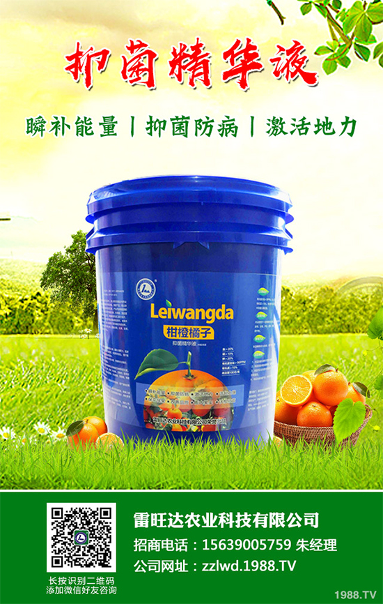 �L�ڵ͜ع������߲��L�ݲ�ԓ��ν�Q�����������a��Ď�헴�ʩ