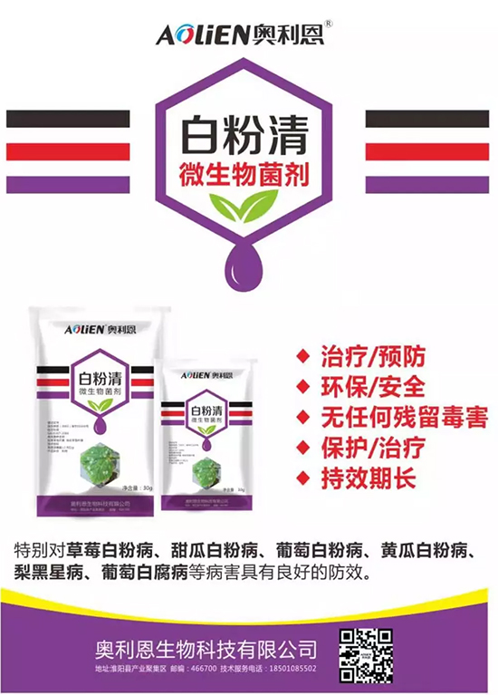 �׷۲�������(f��)�y�p���� ӛס�@��ˎ����Ч���ΰ׷۲����P����