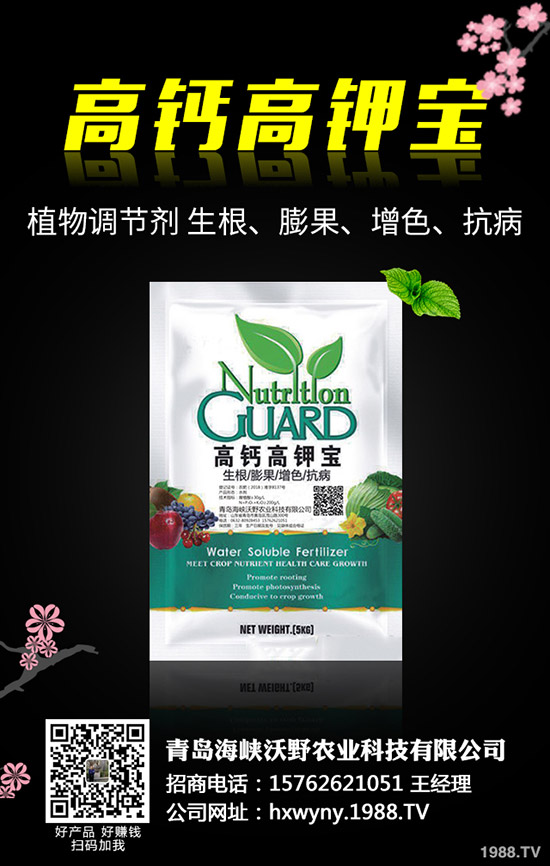 С�����s��ʲô�r����θ�����С���s�ݽ�Q������