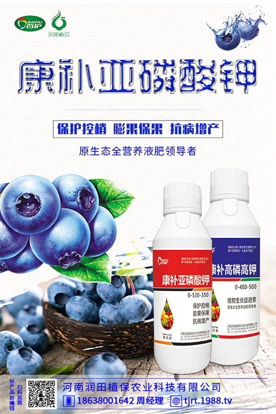 ���콷ʲô���N�����콷�ķNֲ���������x(ch��ng)������