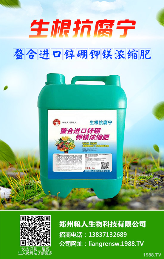 ���E����Щ�I�B(y��ng)�r(ji��)ֵ�����E�ĠI�B(y��ng)�r(ji��)ֵ����Ч����