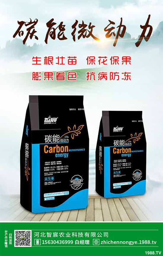 ħ��ԓ��ô�N��ħ��߮a(ch��n)�Nֲ��������