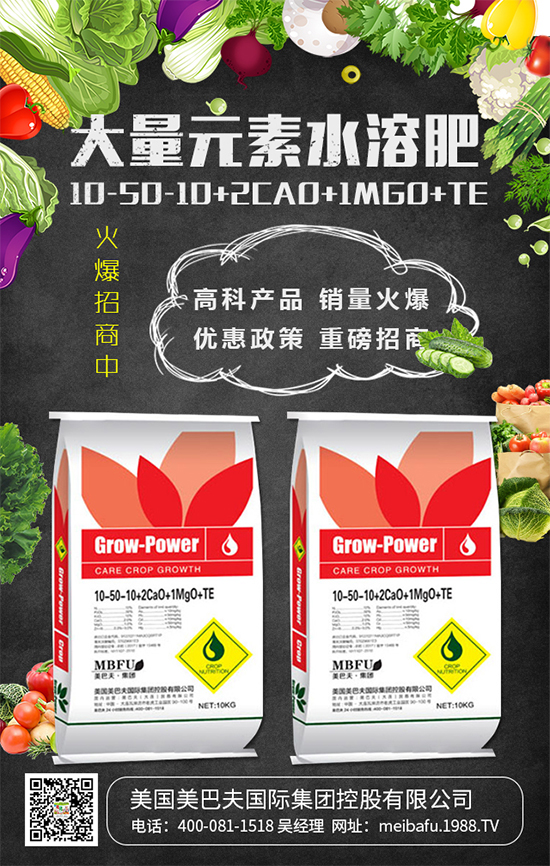 2020年種植什么蔬菜掙錢(qián)嗎?2020年種植什么蔬菜前景好?