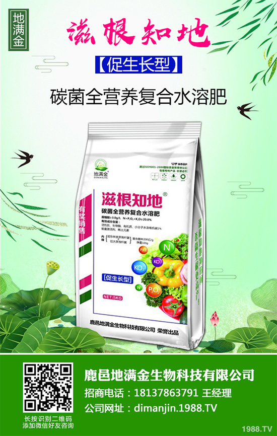 ���G�Ӷ����Xһ����2020�����G�ӷNֲǰ����Ч�����