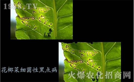 ��Ҭ�˼�(x��)���Ժ��c(di��n)��3