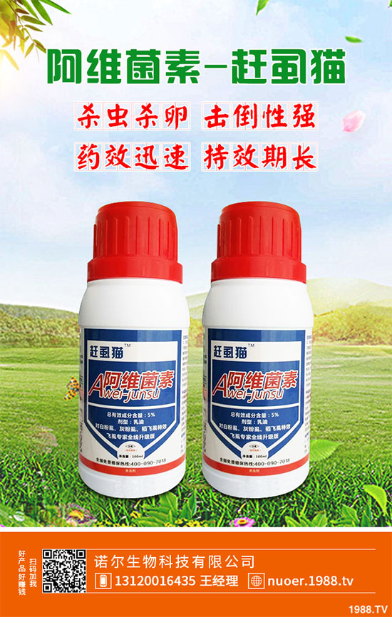 ���(sh��)���x(ch��ng)���r(ji��)��