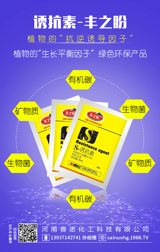 �׷ʡ����p���b�e����e�Ϯ�(d��ng)