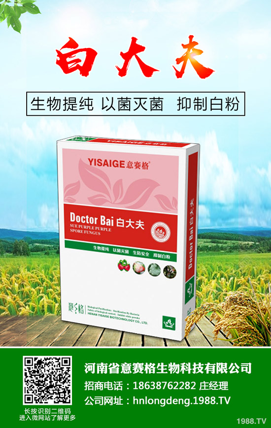 ���Ѷ���ʲô�r(sh��)���^�������Ѷ�����ʲô������