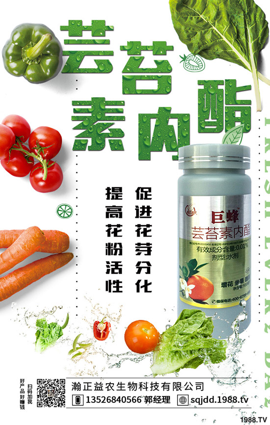 �����߲˲ɹ��ʵ�Σ���������ߴ����߲˲ɹ�����