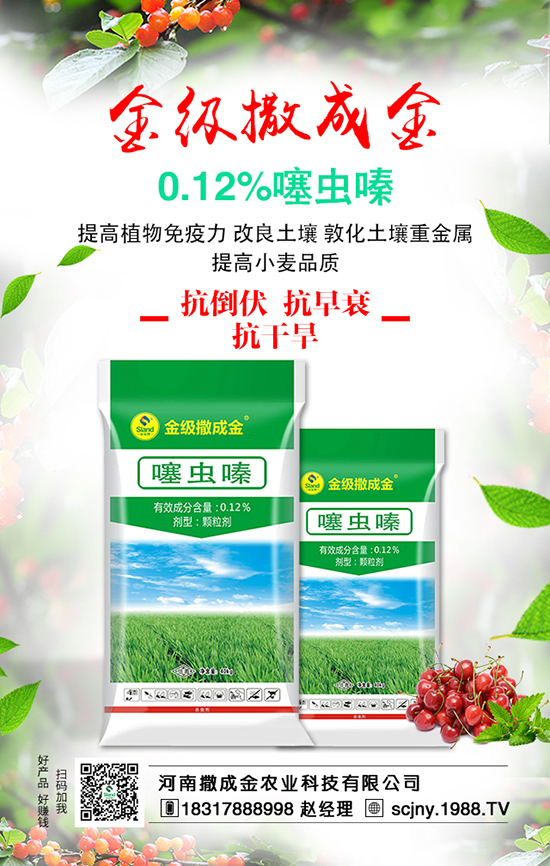 ���Է��ϊZ�����B��������