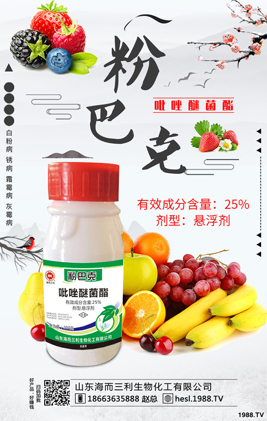 Koppert�ڶ���(gu��)��ӛ�����������Noli