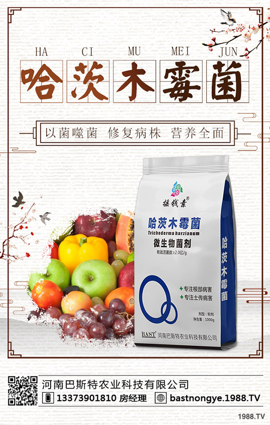 �������鼴�����ӣ�����⛷ʃr�������A(y��)�y2019-12-20