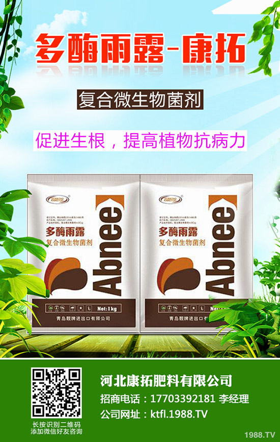 ����ÿ�������X��2019-12-20���ո������؃r���߄ݷ���