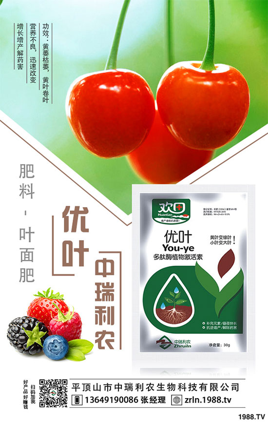 ��乽�����༼�g(sh��)����乽�ķNֲע�����(xi��ng)��