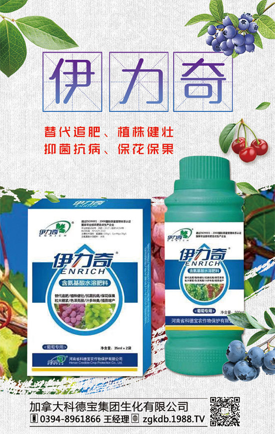     �R�����P(gu��n)�����@�����Ƿ��ϸ���2020����@�r(ji��)�������߄�(sh��)�A(y��)�y(c��)��