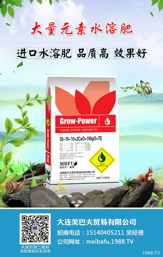     2019��12ĩ⛷ʃr(ji��)���߄�(sh��)ƽƽ��2020���Ƿ���ͻ�ƣ����������A(y��)�y(c��)��