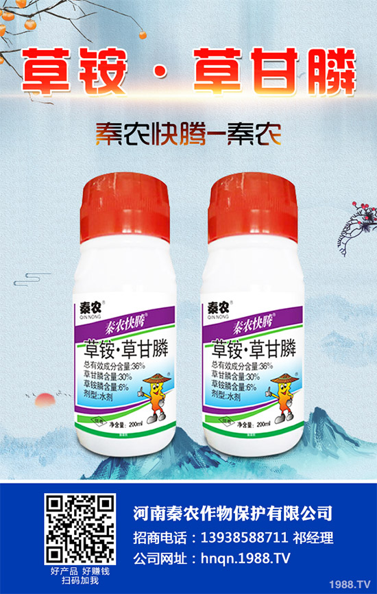 Prentiss�������������s�ݳ��݄�Camp-D ��2��4-D�Ͱ��������