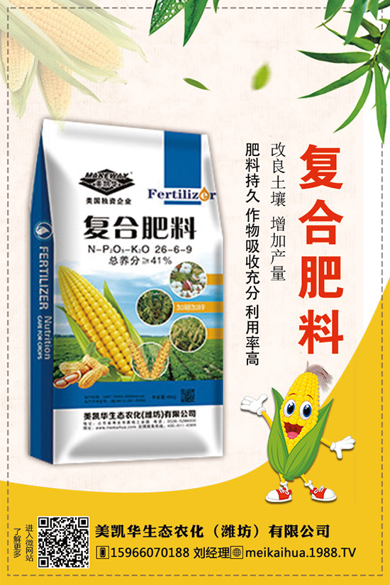     2019�������һ�@��������r(ji��)��C�Ϸ�����(b��o)�棡