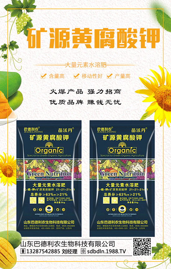     ��(f��)�Ϸ�����q�����F(xi��n)��2019��12��ĩ���r���߄��A(y��)�y��