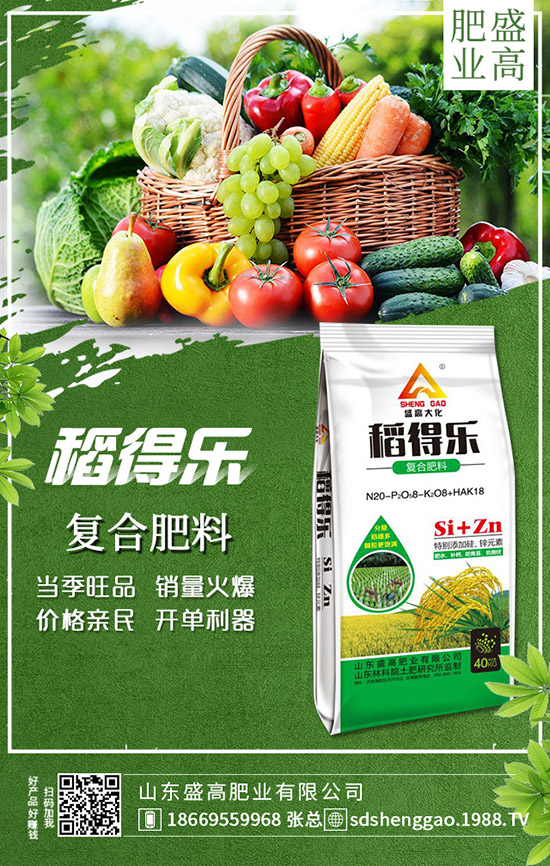     �ֲ��؅^(q��)���������»���12��25�Շ�(gu��)��(n��i)���؃r(ji��)���߄�(sh��)���������u(p��ng)��