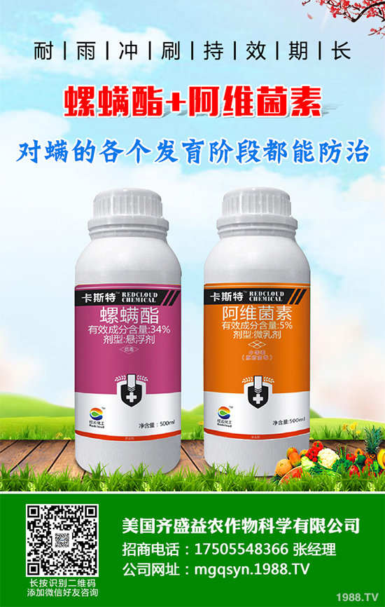 ؐ˹���M���Y���K����3.63�|Ԫ ���ڶ������`�������x���µ�ϵ�Юa(ch��n)Ʒ�Ŀ�Č�ʩ