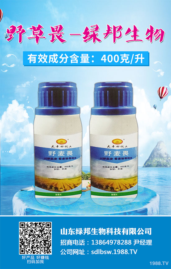 �����ݰ�