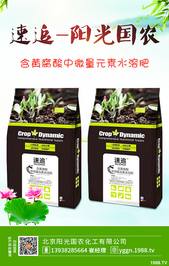     2019��12��26�ս�������(gu��)��(n��i)���@�r(ji��)���߄�(sh��)���������u(p��ng)