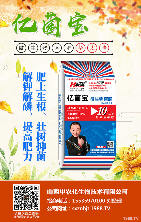     ���@�r���Դ�С���»����g��2019��12�µ�������@���������