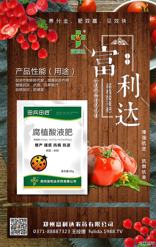 �Nֲʲôˎ����ٍ�X��2020����ˎ�ķNֲǰ������