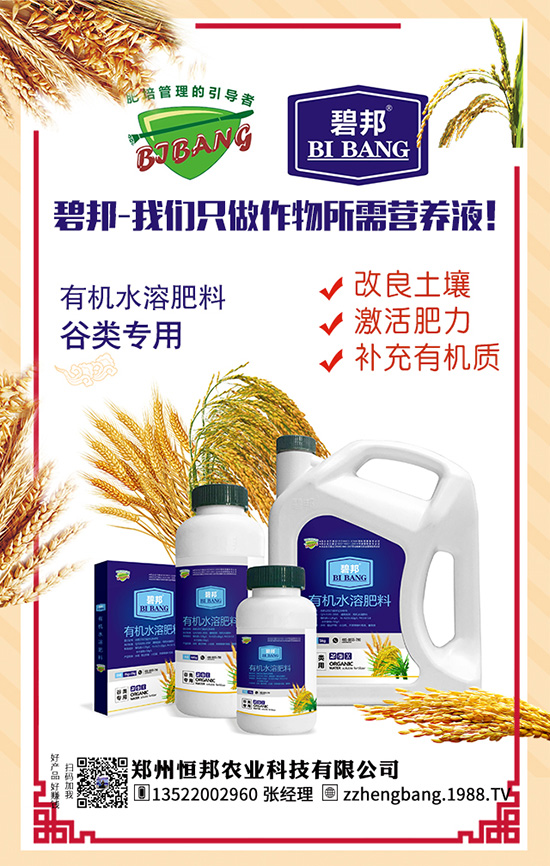 ճ���׷Nֲ�߮a(ch��n)���g(sh��) ճ���׷Nֲ