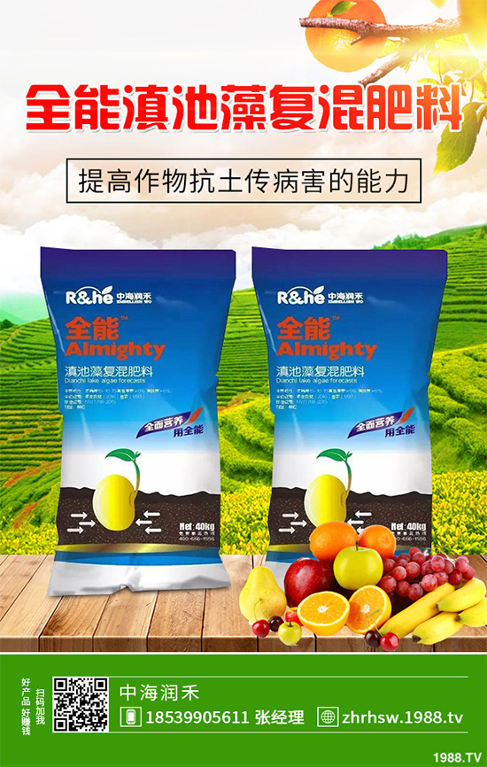 ���r����͸���������Щ�^(q��)�e���ǂ�(g��)Ч��������