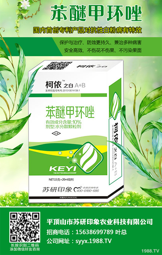 ϩ������