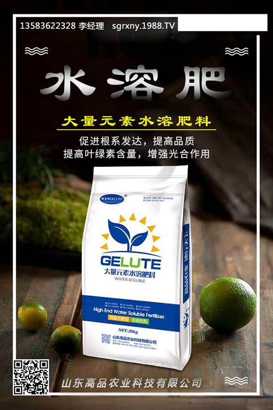     ����(n��i)���@�r�������߄��A(y��)�y2019.12.03