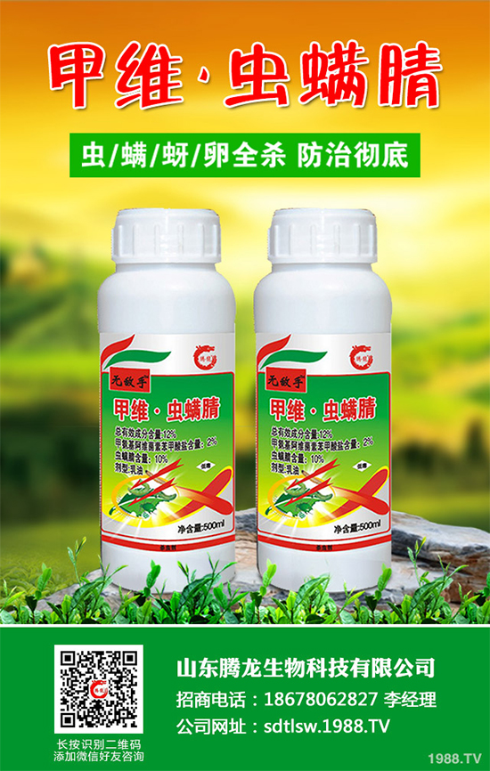 ���x�������x���� 11��29�ջ�������ьÝM