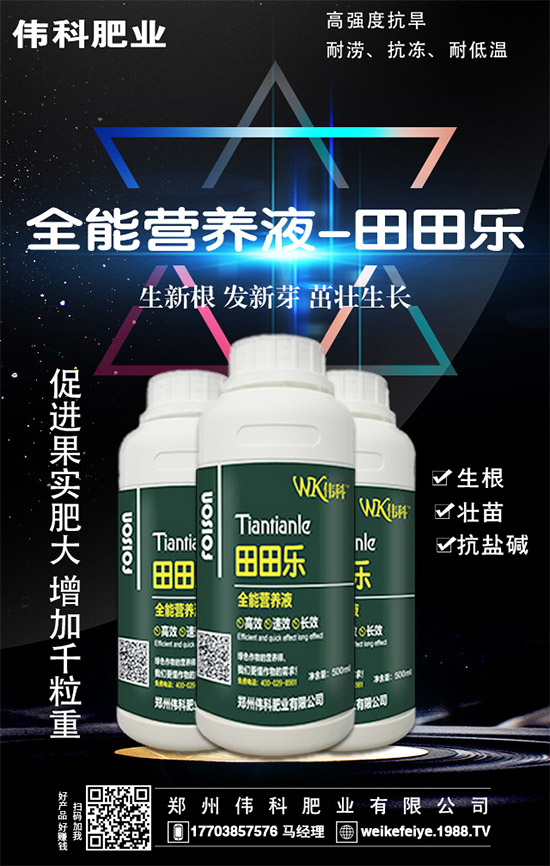     橙子的營養(yǎng)價值有哪些？功效與作用有哪些？不易哪些人群食用？